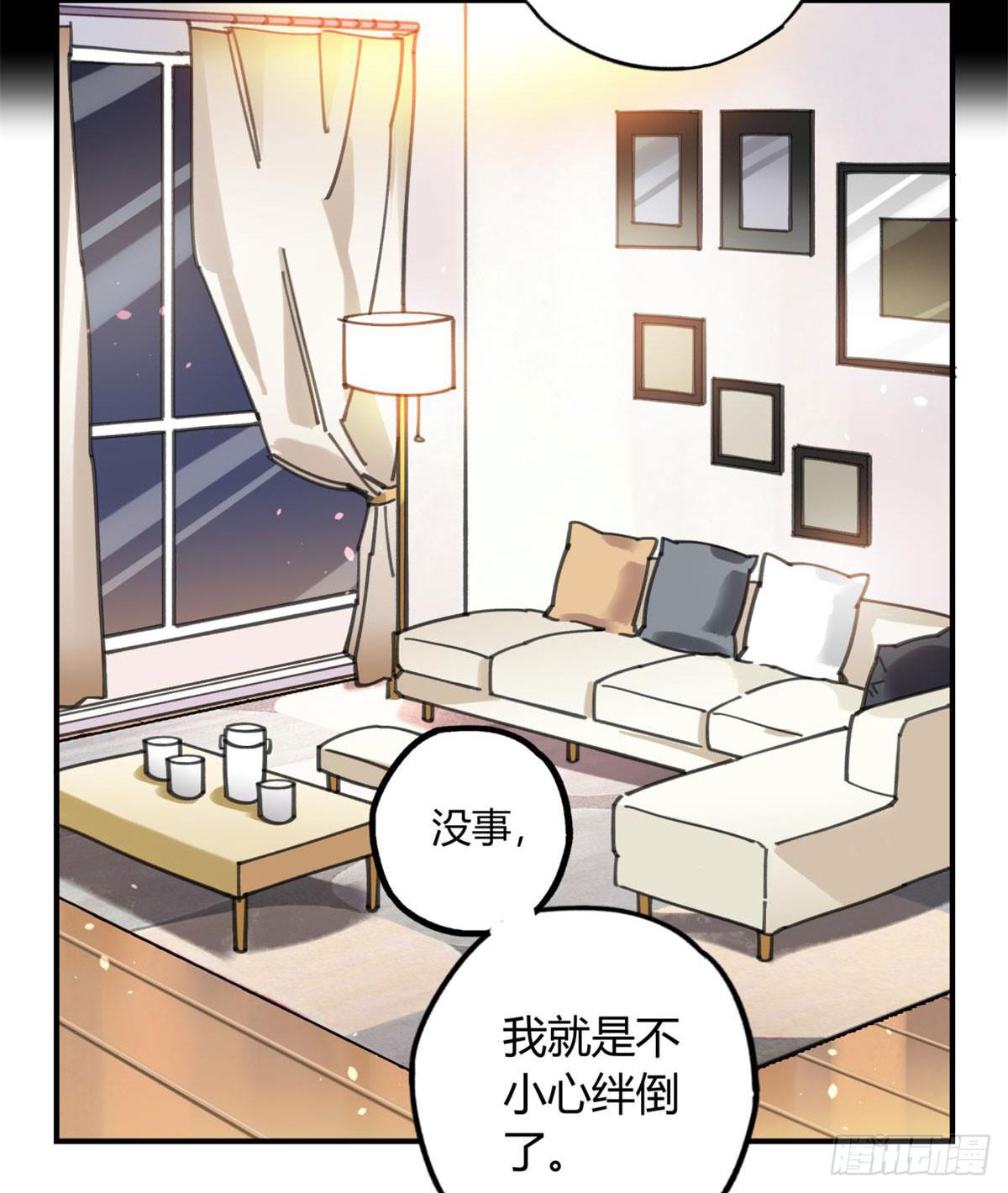 被丢弃的猫23