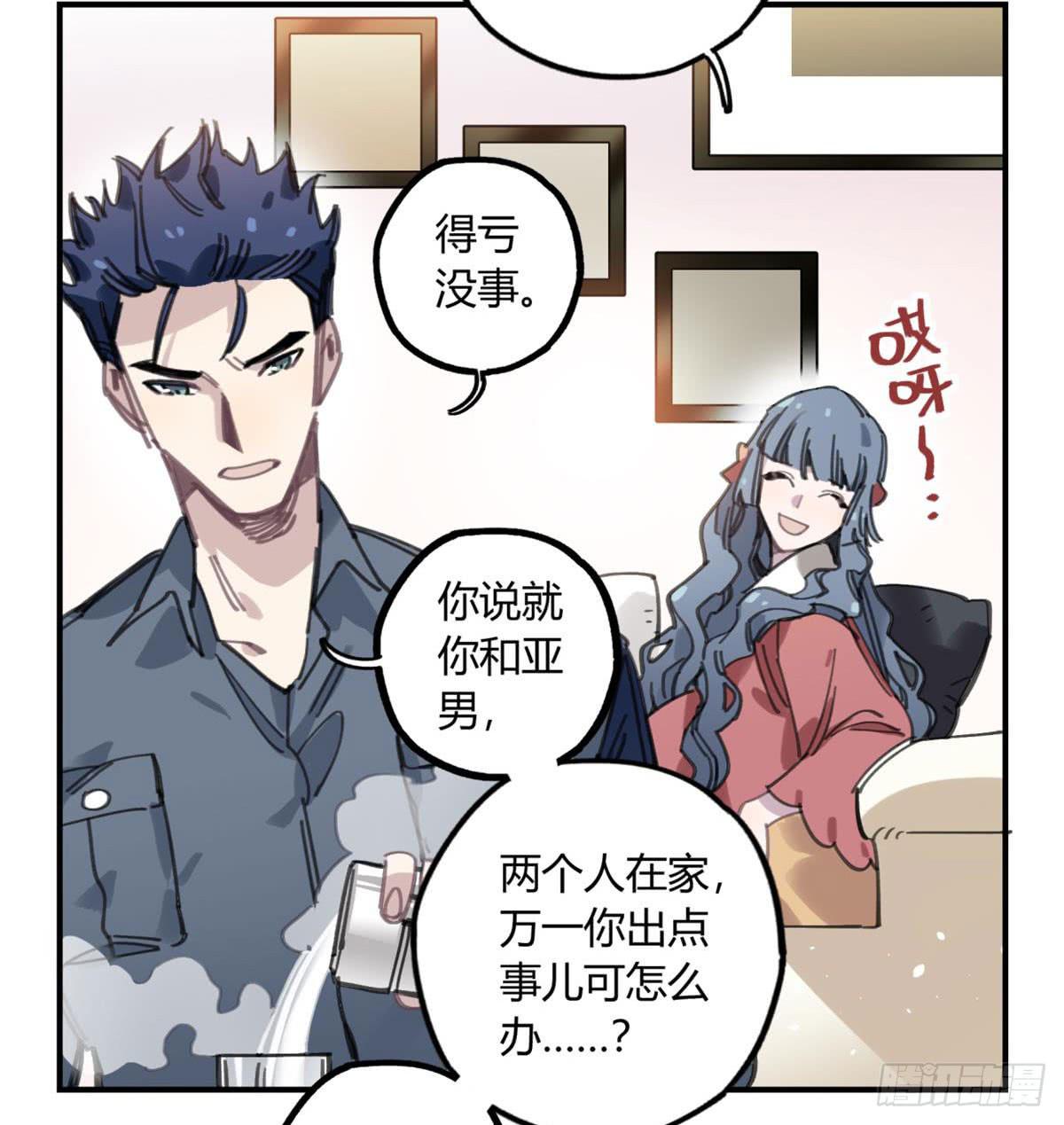 被丢弃的猫24