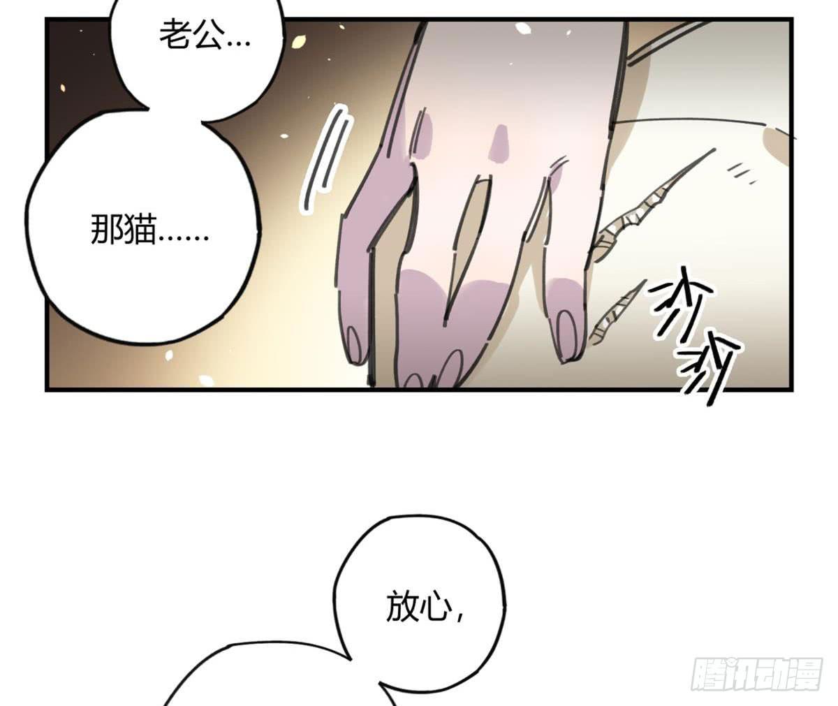 被丢弃的猫31