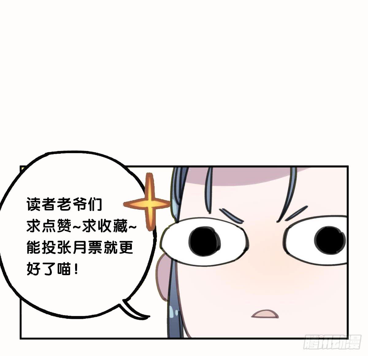 被丢弃的猫35