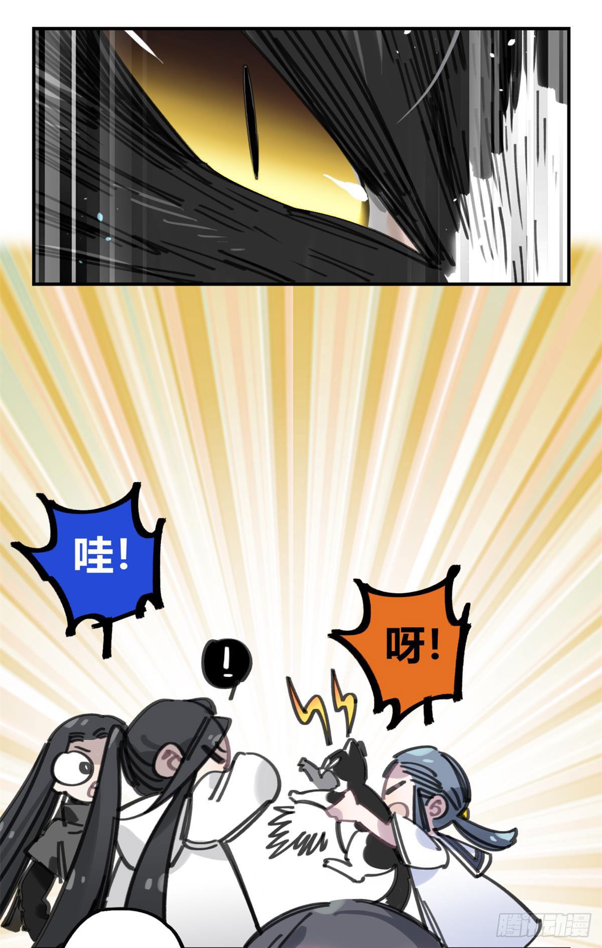 被丢弃的猫5