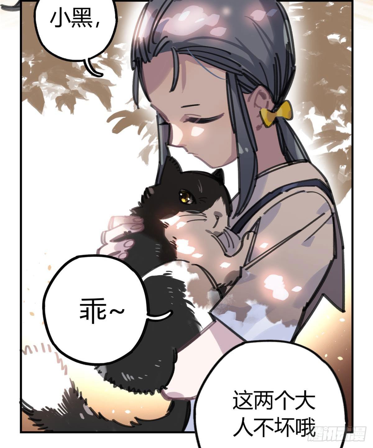 被丢弃的猫6