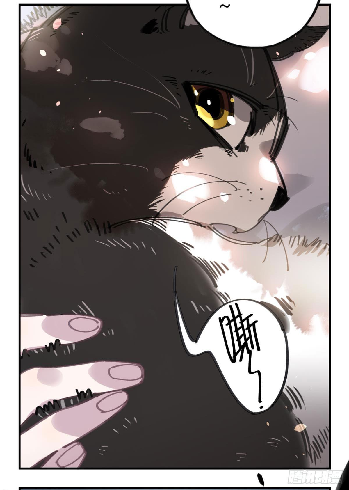 被丢弃的猫7