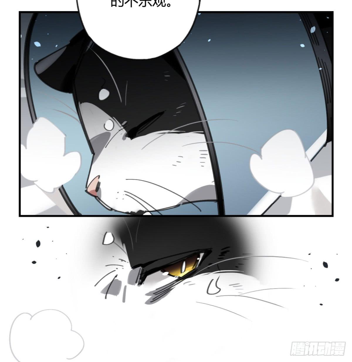 一定要救它！18