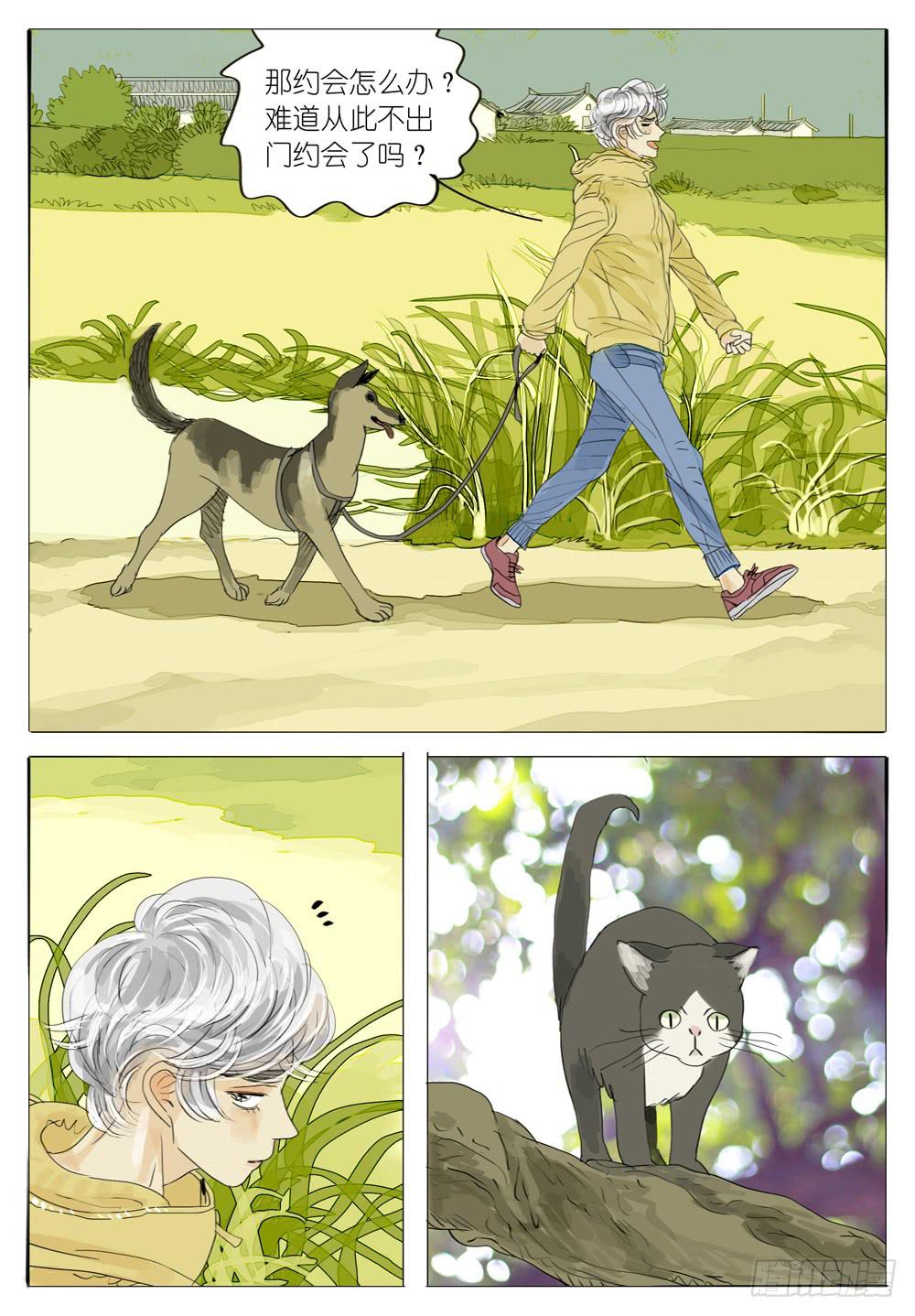 53 千年猫妖2