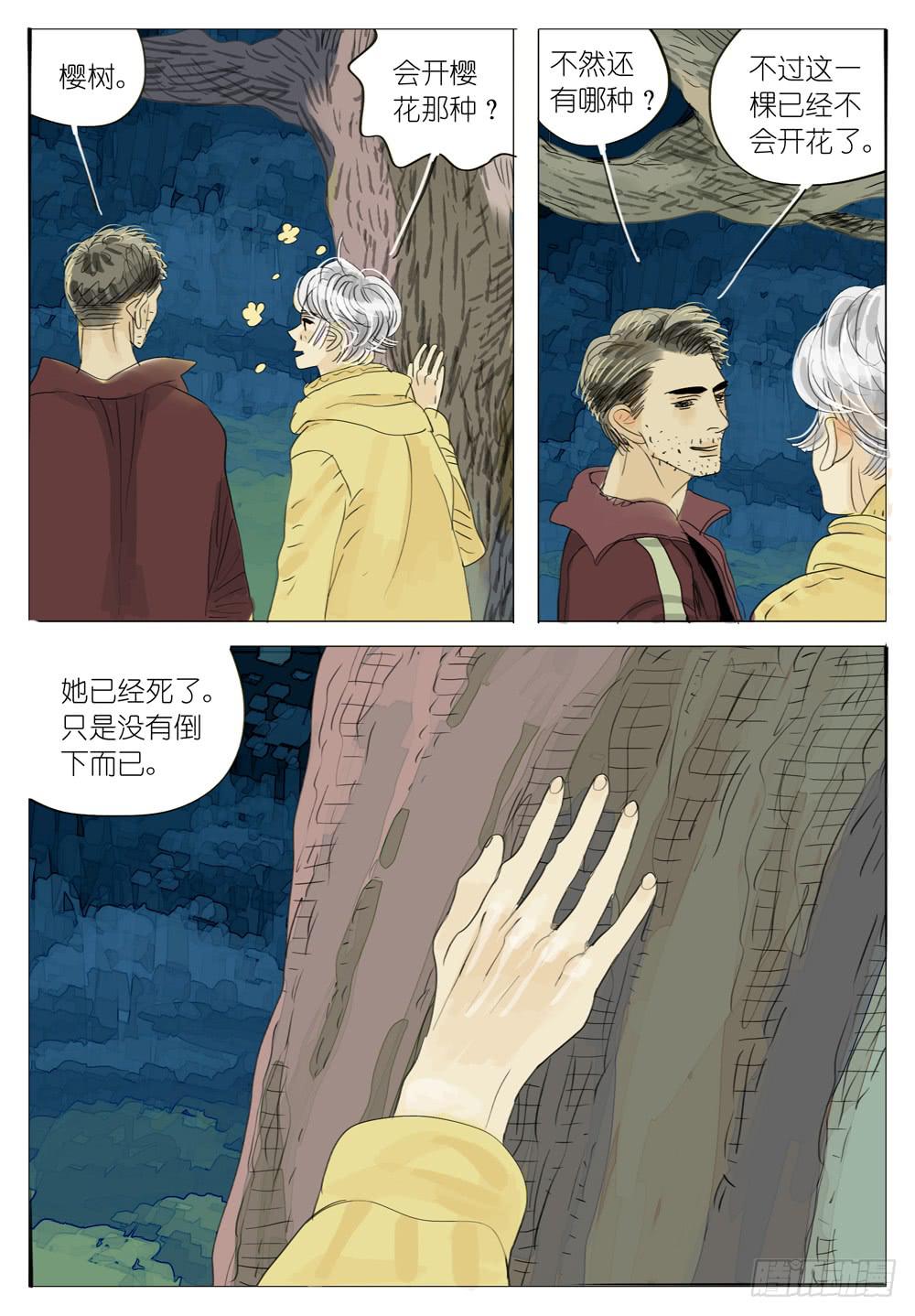 54 看枫9