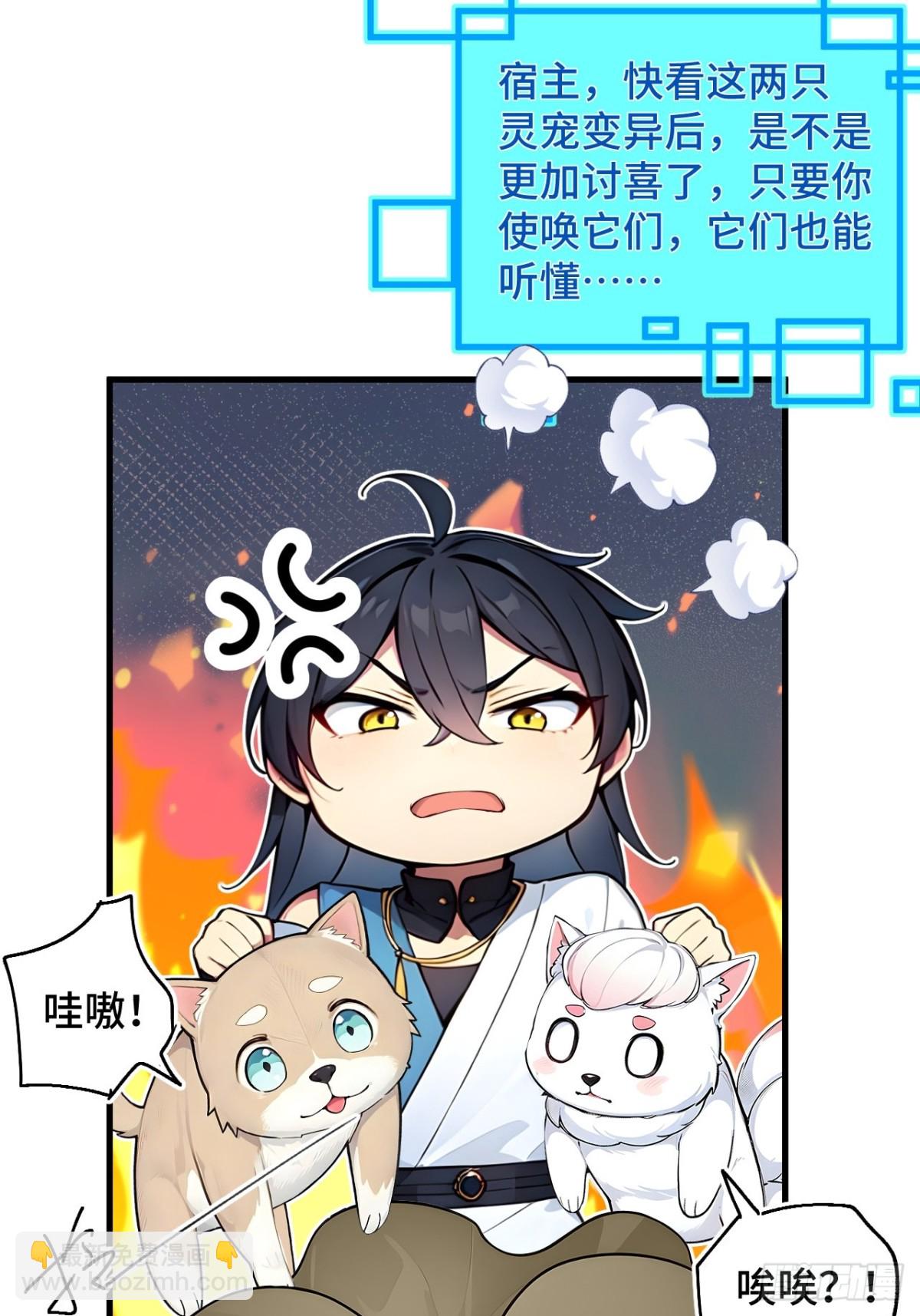 24   S级灵宠，免费送！8