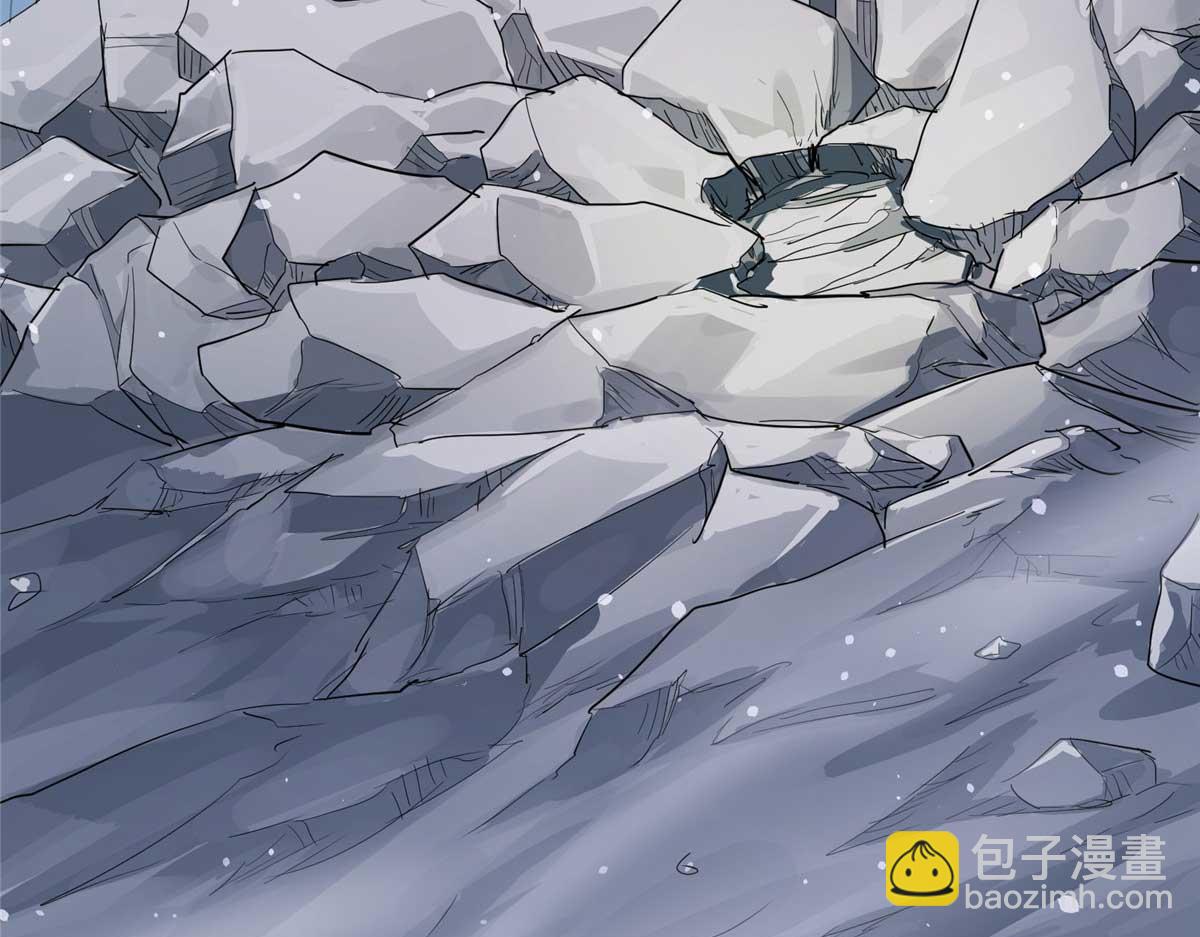 66 同调100