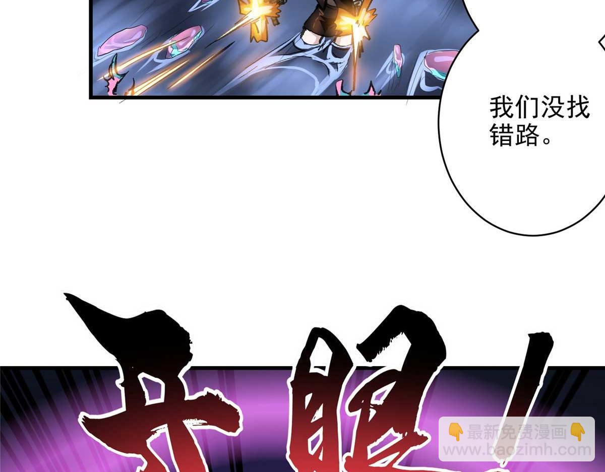 66 同调118