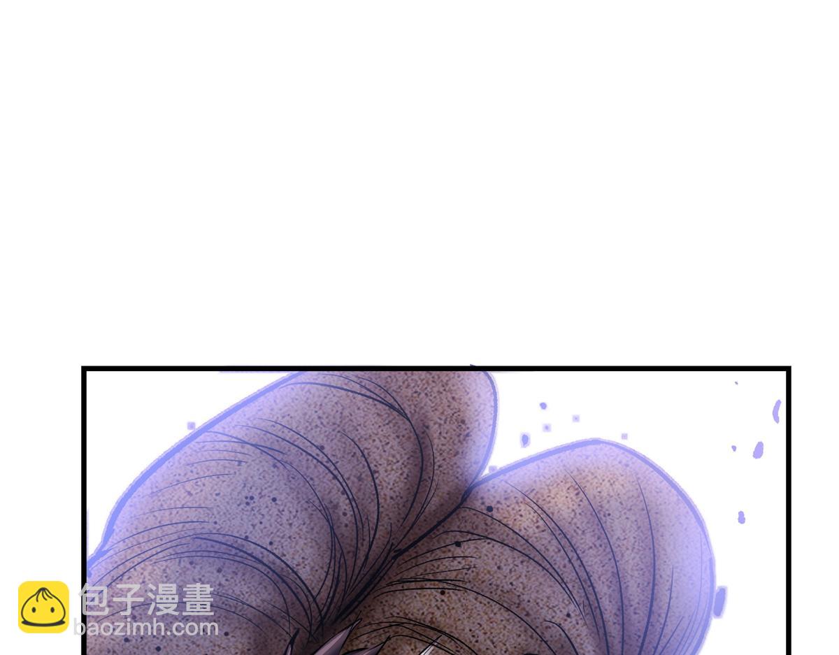 82 风落52