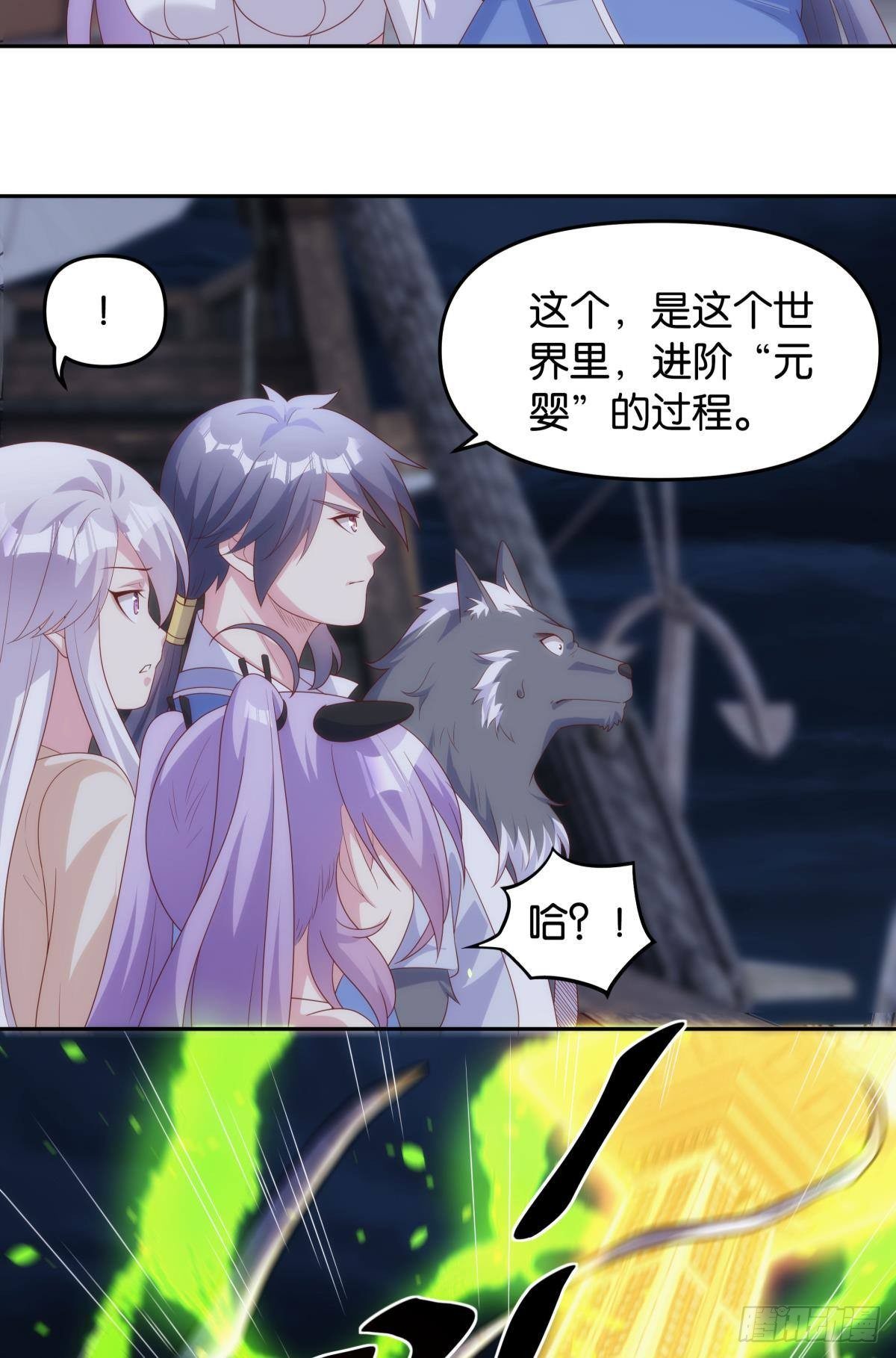 掌门15