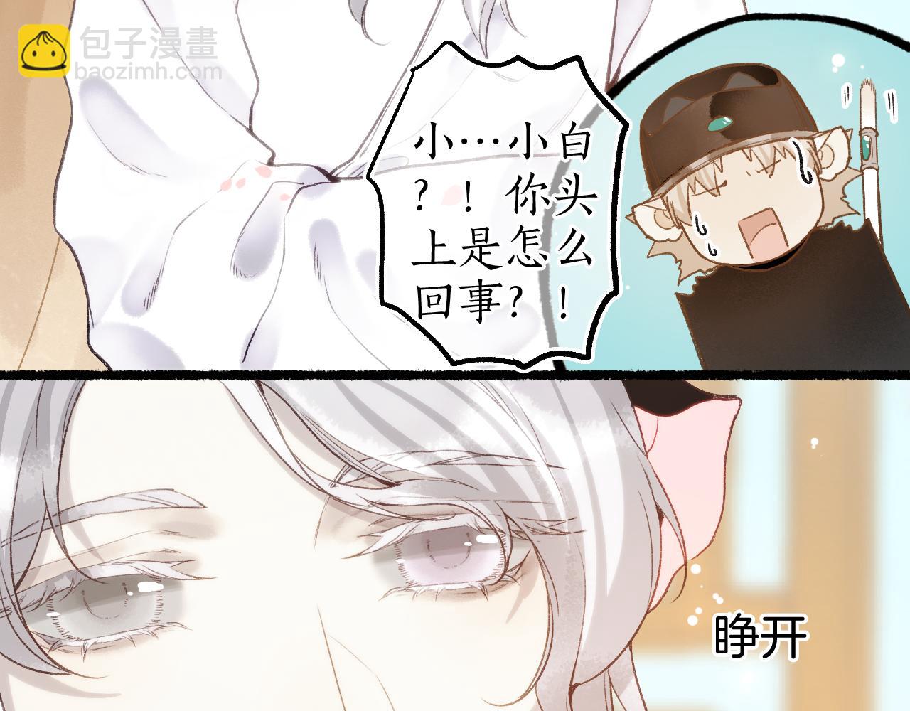 番外·小白的苦恼30