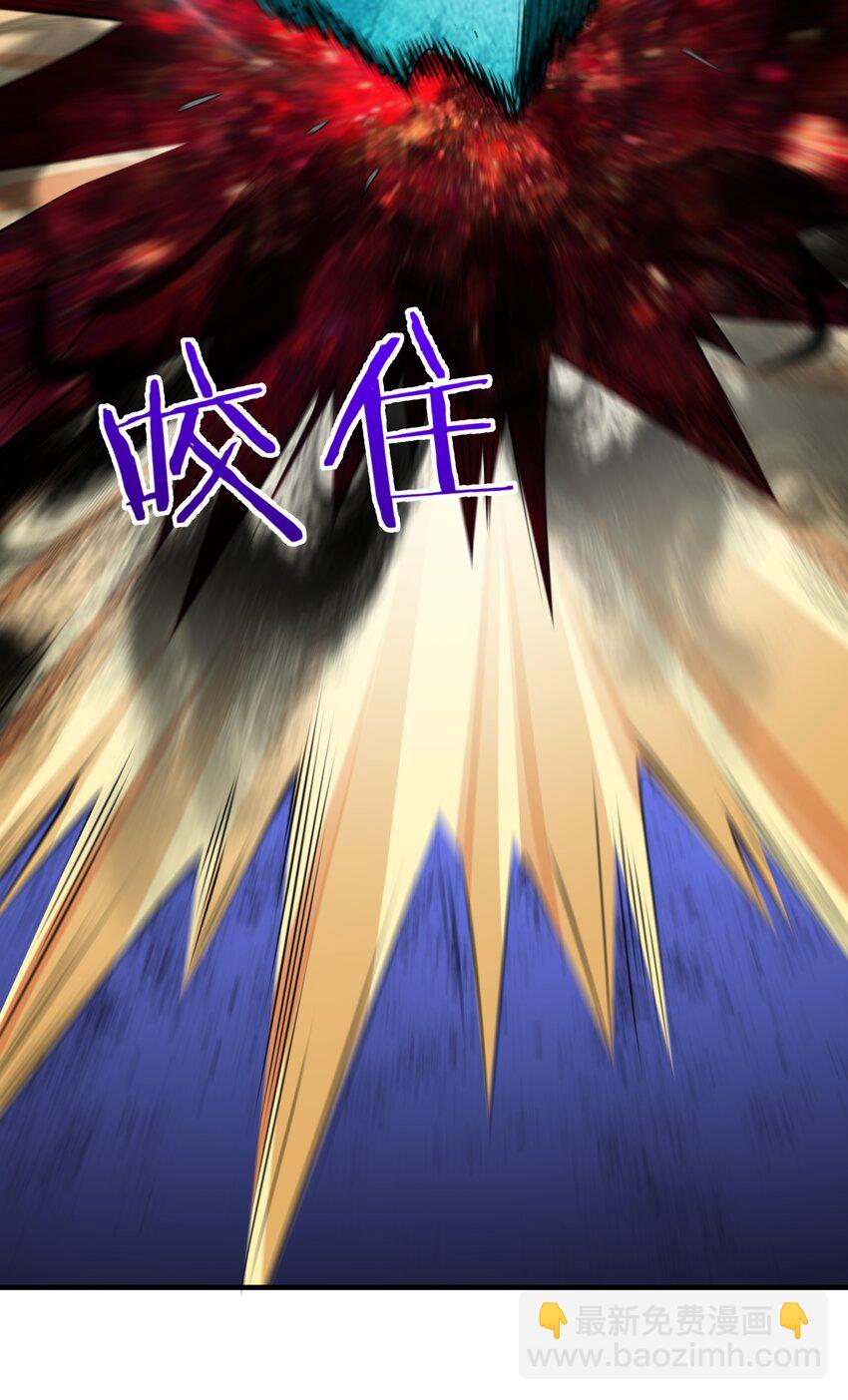 041 佩特拉71