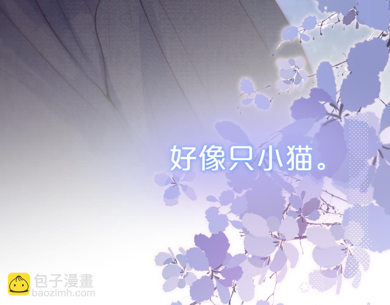 第35话 小猫咪78