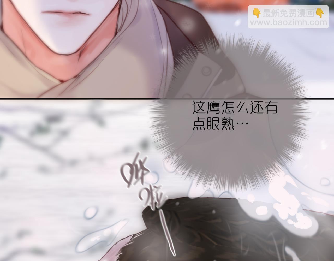 第62话 黑鹰45