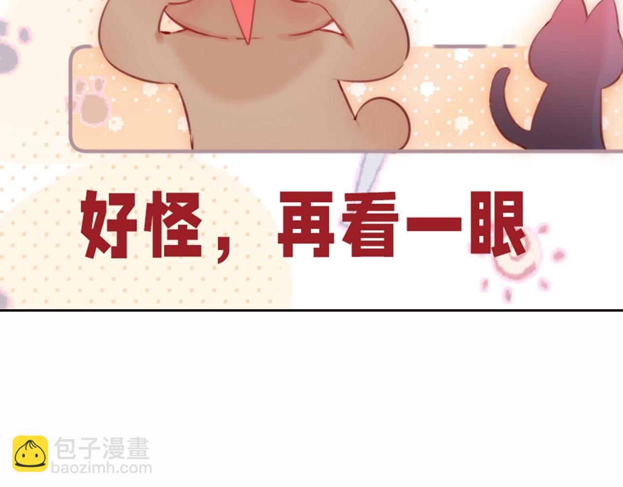 第6期 可可爱爱表情包16