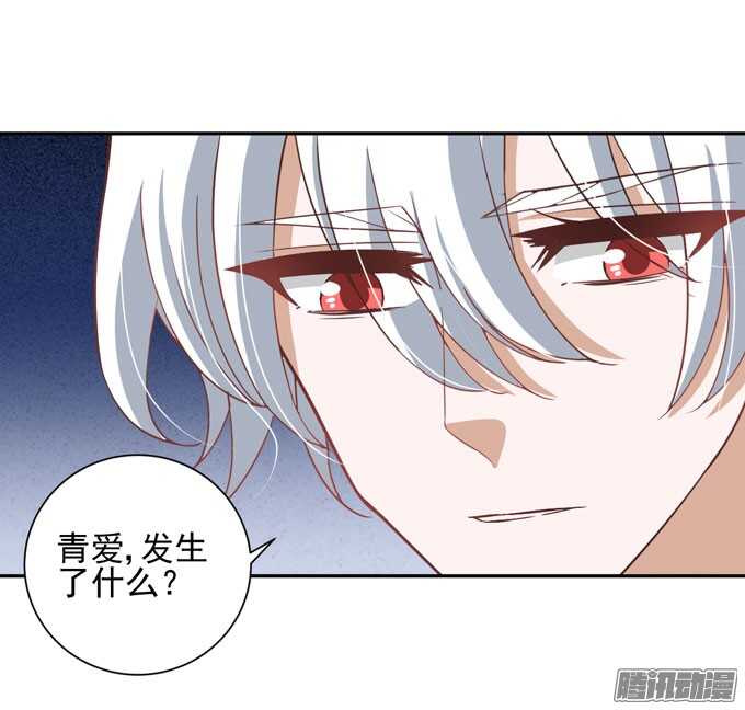 学长的决定17