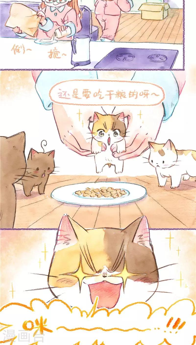 第71话 起名困难症11