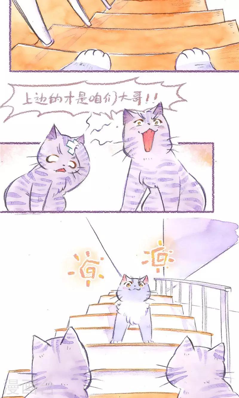 第78话 自力更生14