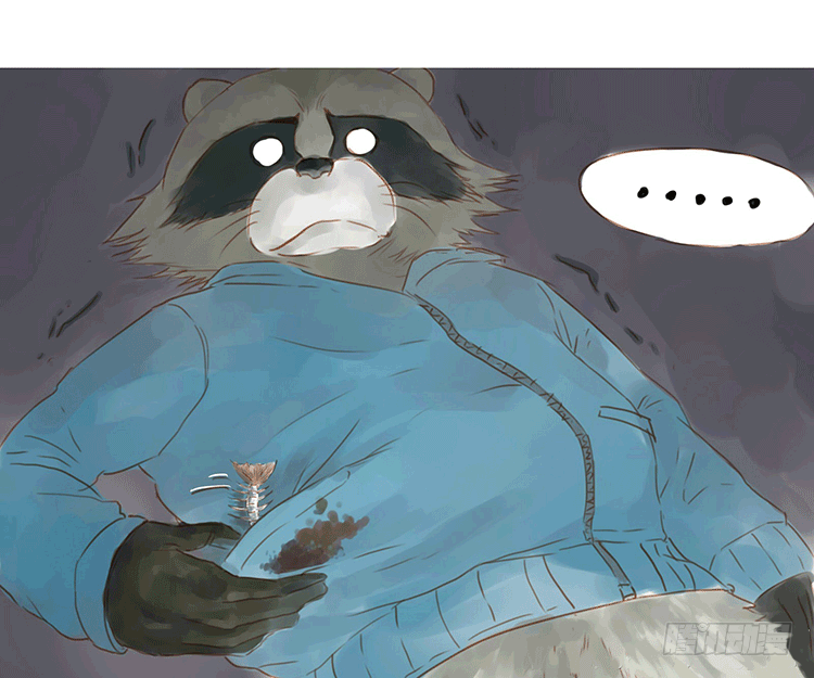 喂猫8