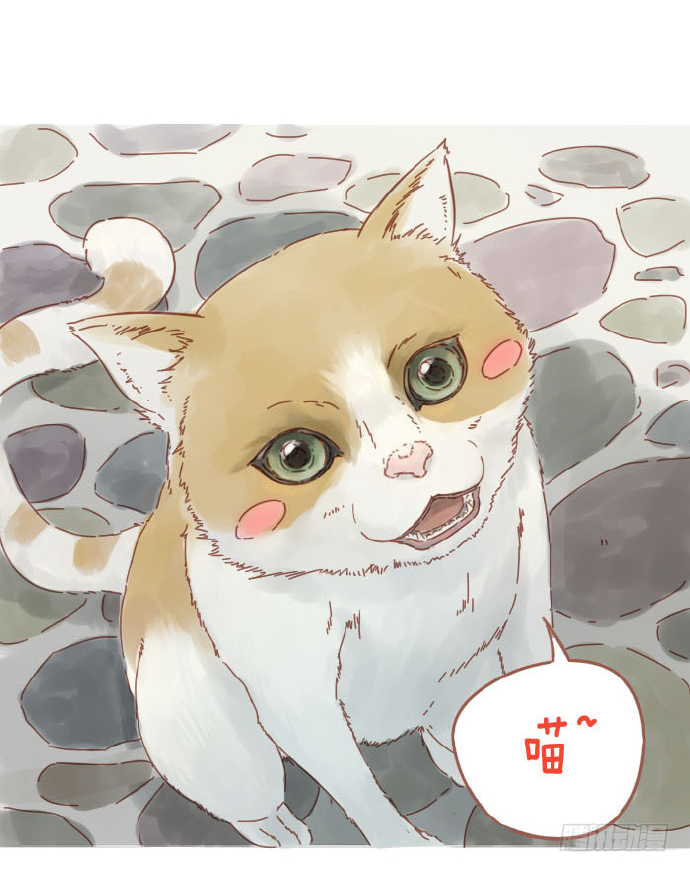 谢谢你6