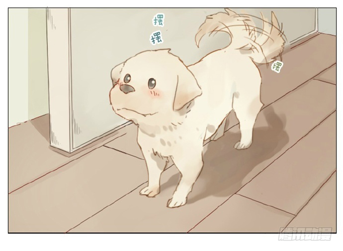 该对着什么东西吃饭呢13