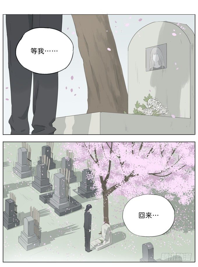 樱花树下22