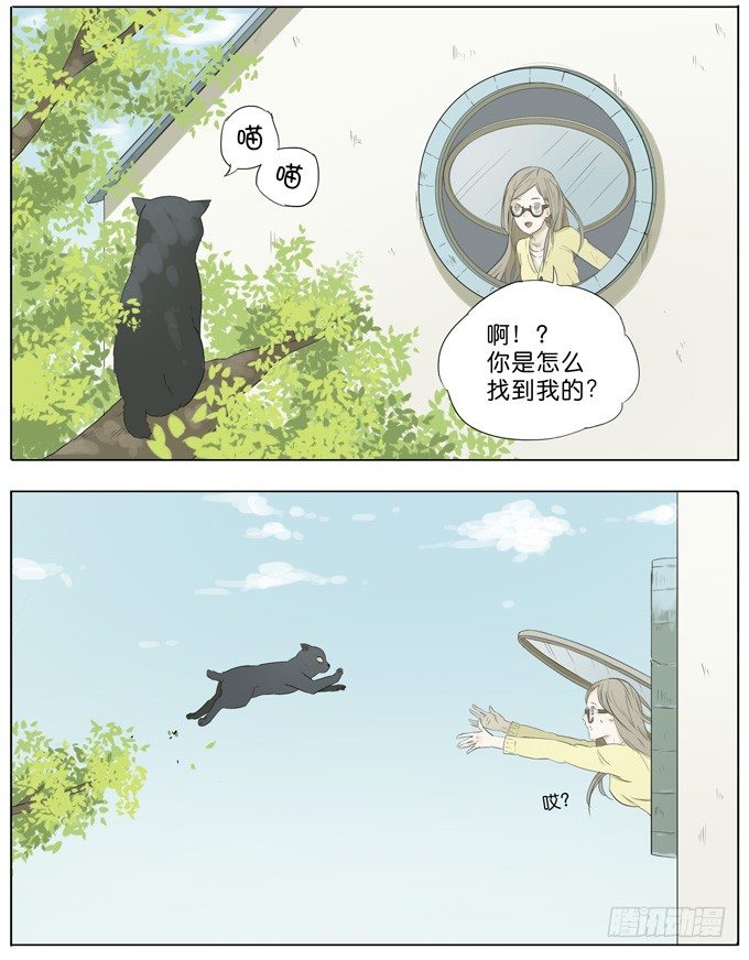 会飞的猫10