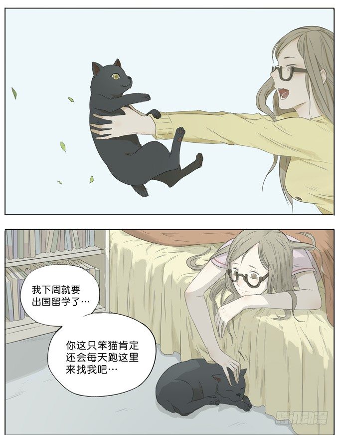 会飞的猫11