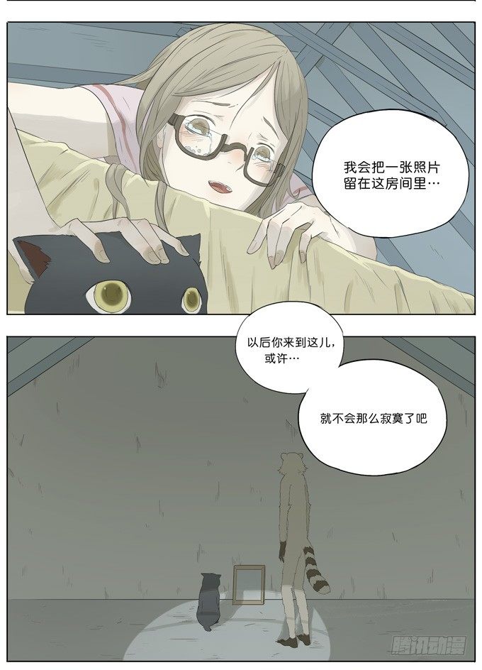 会飞的猫12