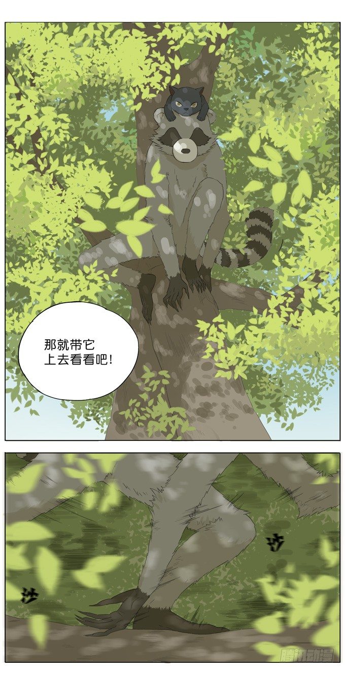 会飞的猫5