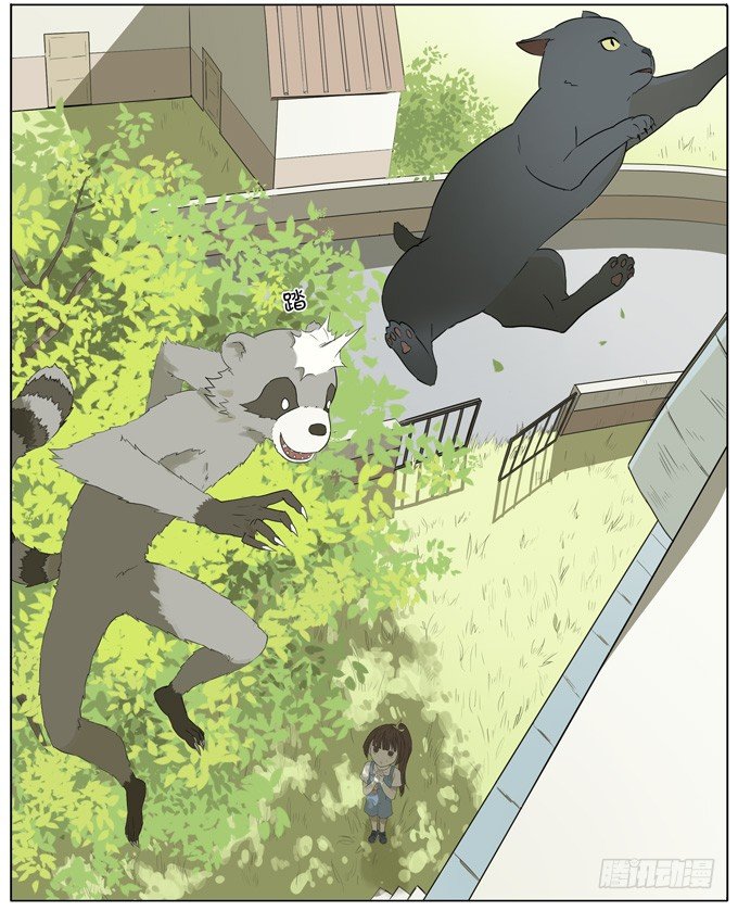 会飞的猫6