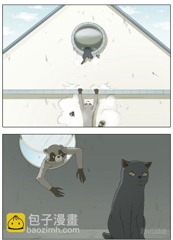 会飞的猫7