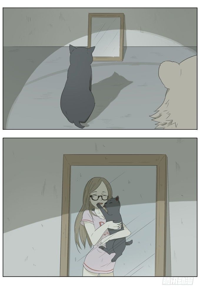 会飞的猫8