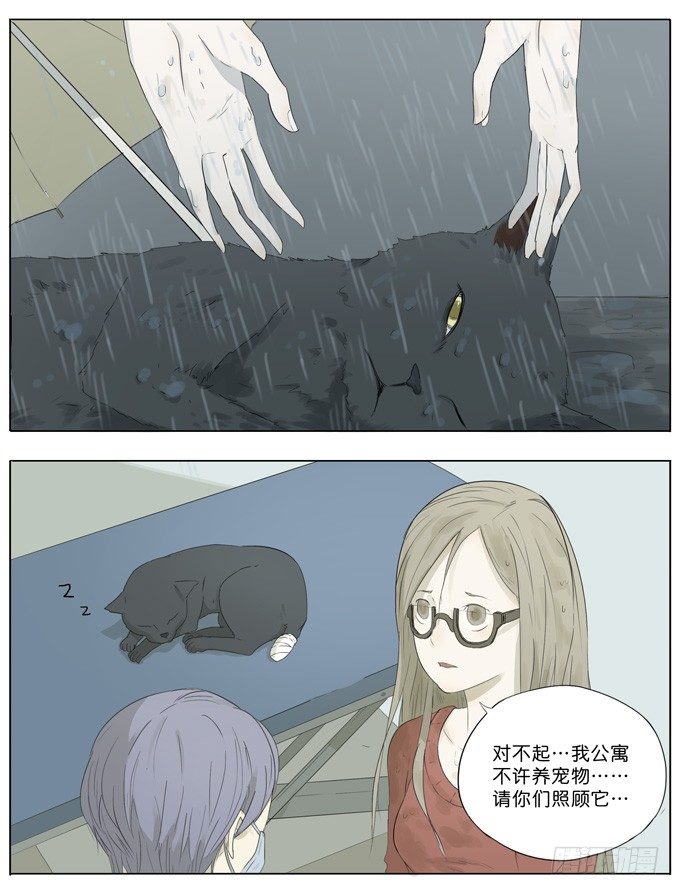 会飞的猫9