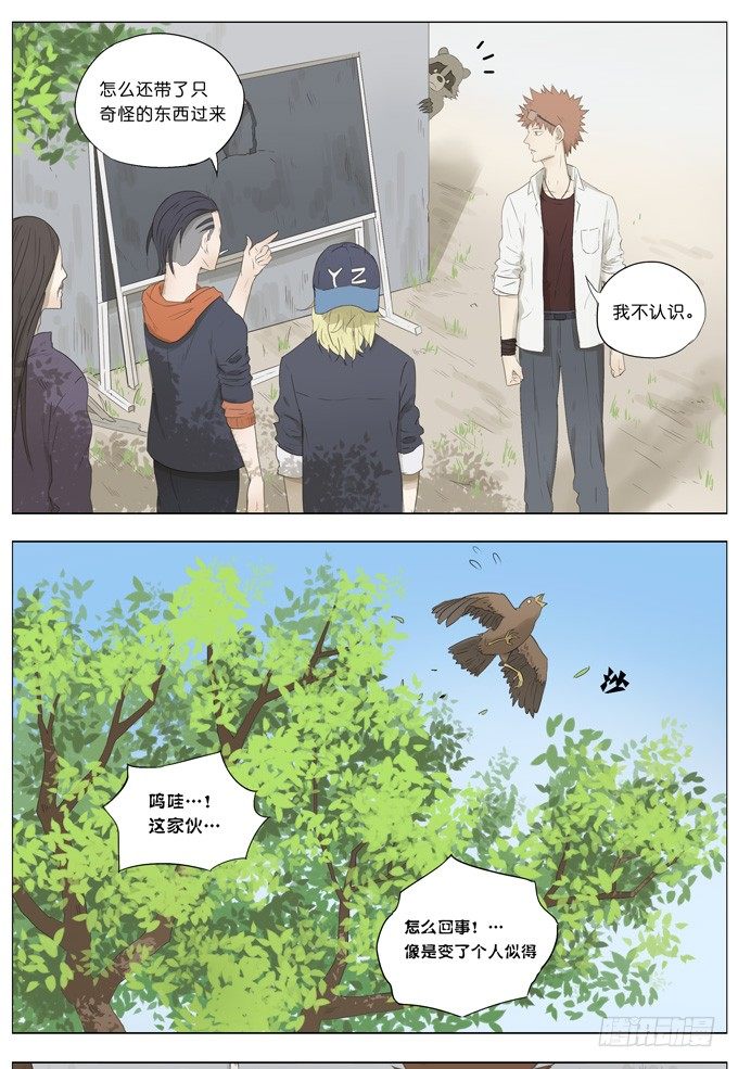 双子5