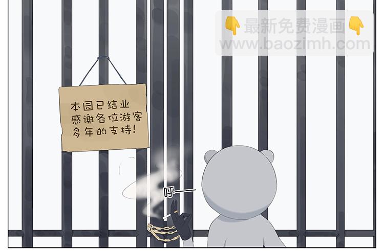 浣熊伯伯10