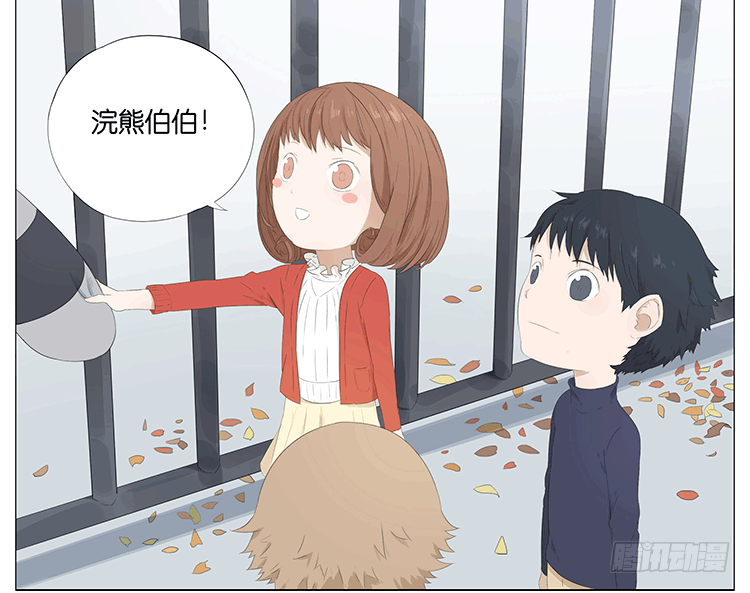 浣熊伯伯12