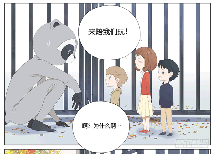 浣熊伯伯13