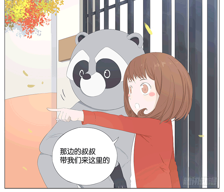 浣熊伯伯14