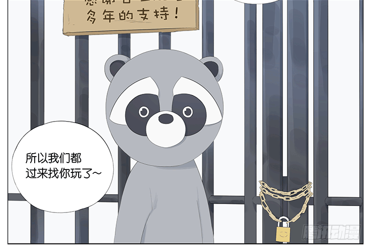 浣熊伯伯16