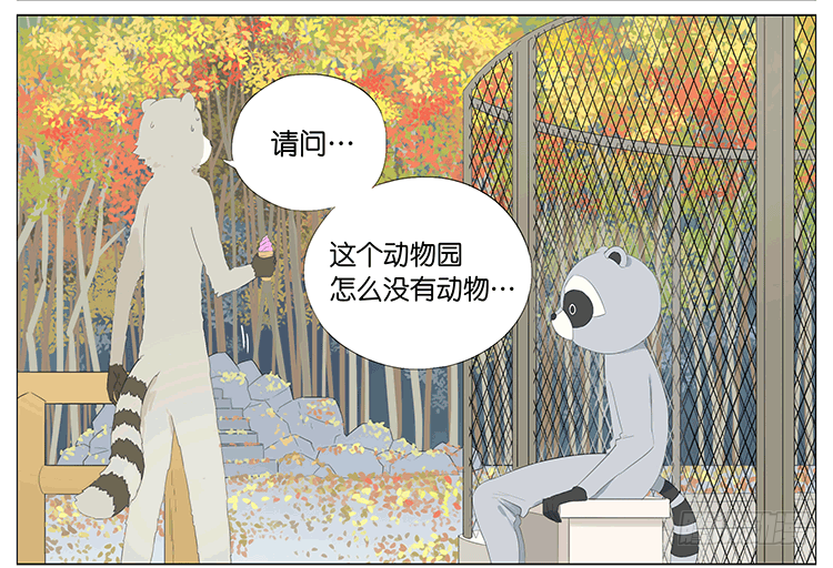 浣熊伯伯2