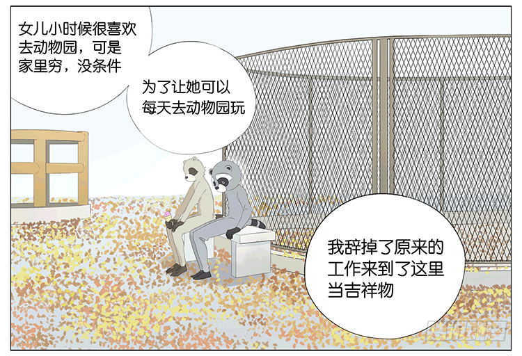 浣熊伯伯4
