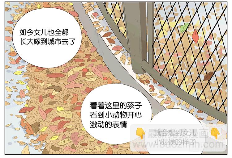 浣熊伯伯6