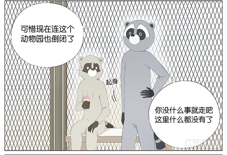 浣熊伯伯7