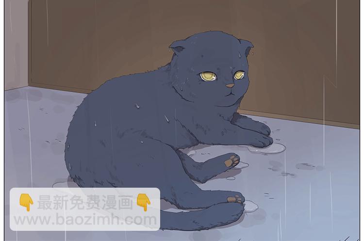 大扫除20
