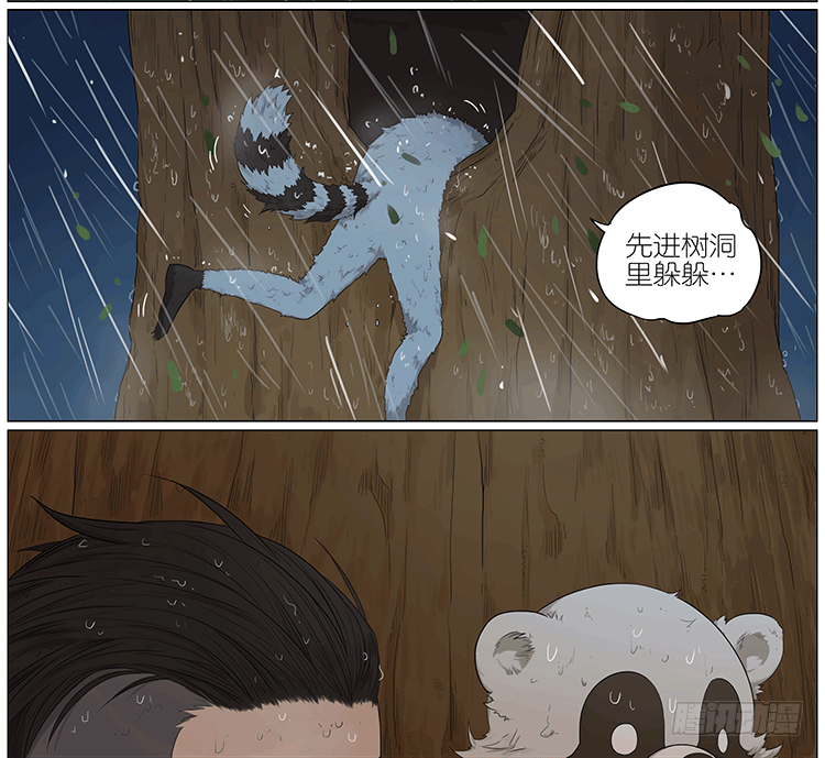 暴雨中的树洞1