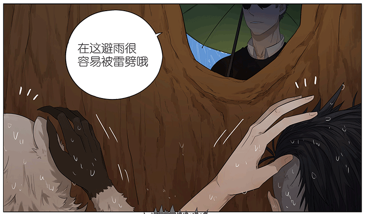 暴雨中的树洞5