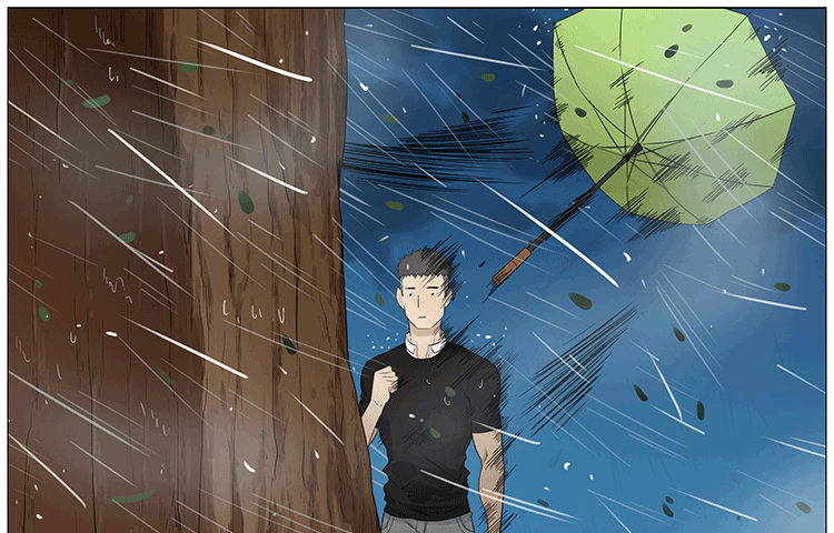 暴雨中的树洞9