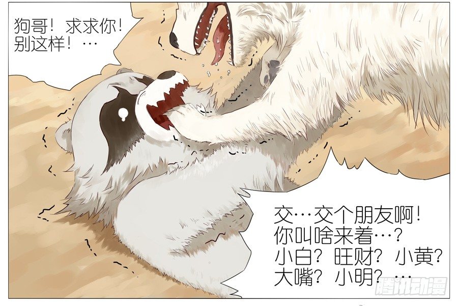 遛狗3